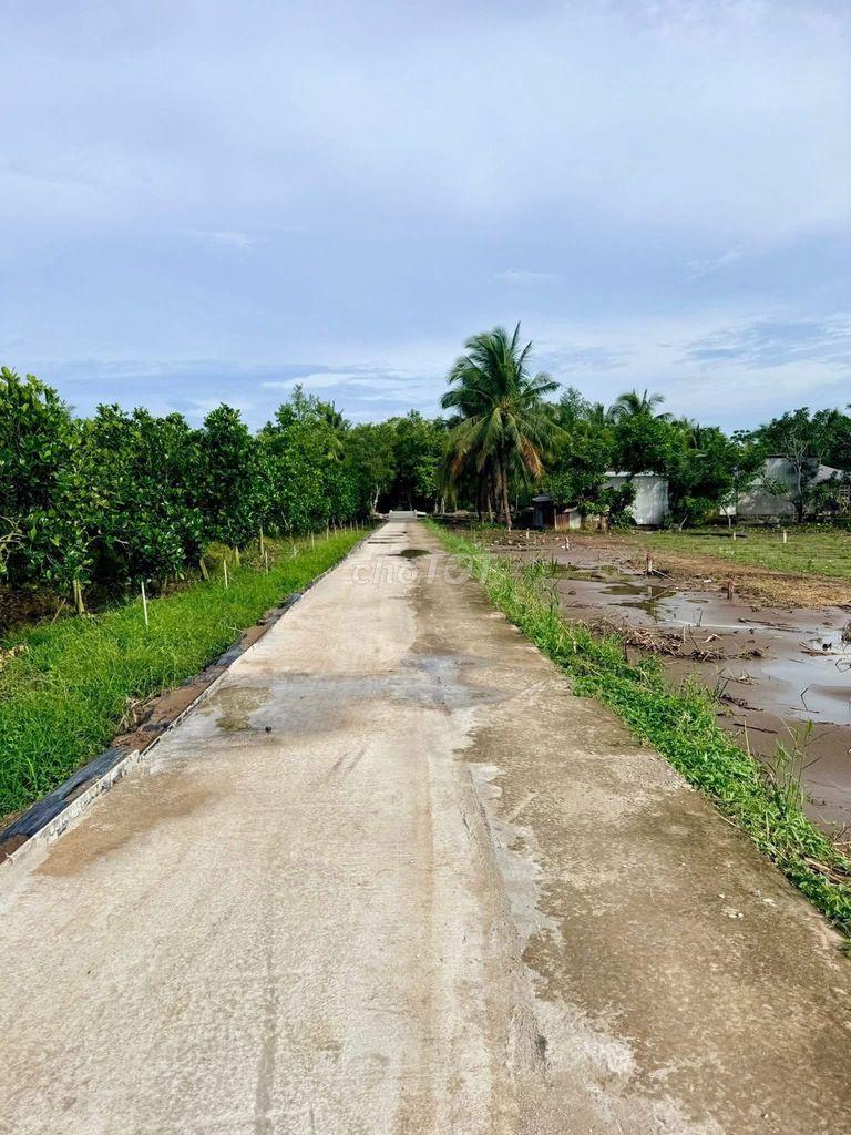 Bán đất nền Lốc Nền Lộ Dal Xã Tân Lược, Vĩnh Long