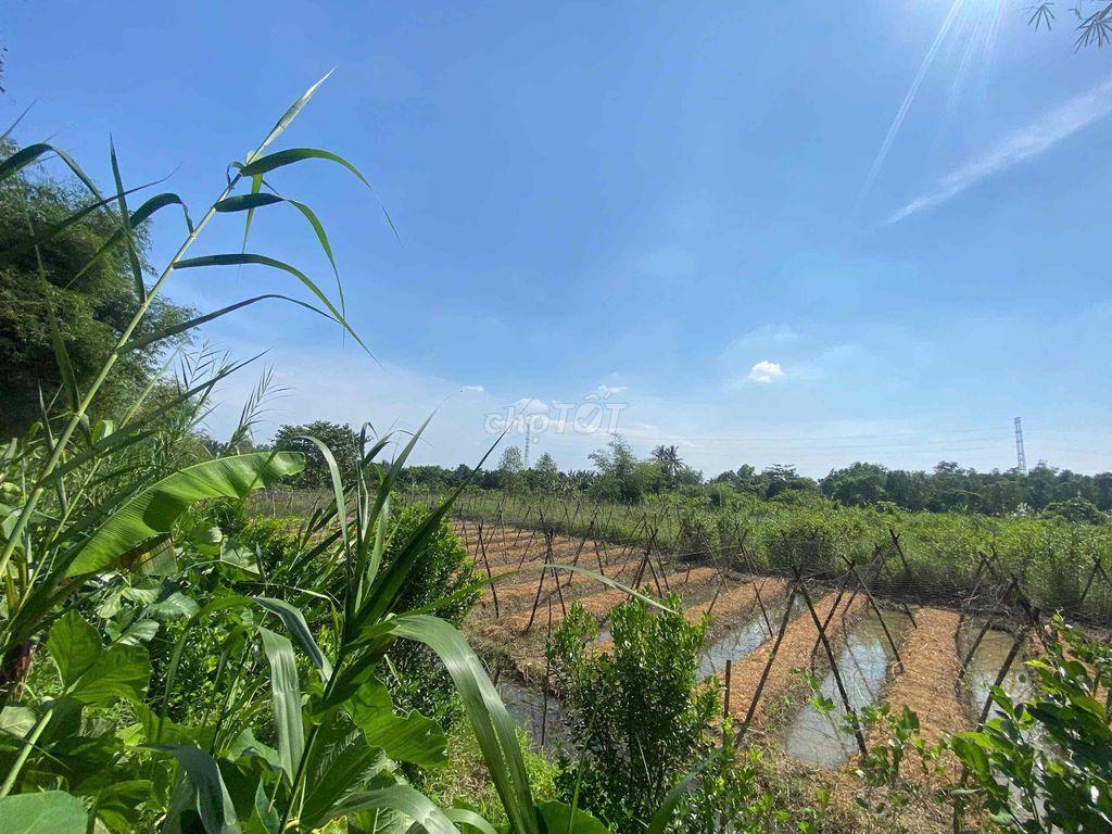 Bán Đất nền Ba Láng