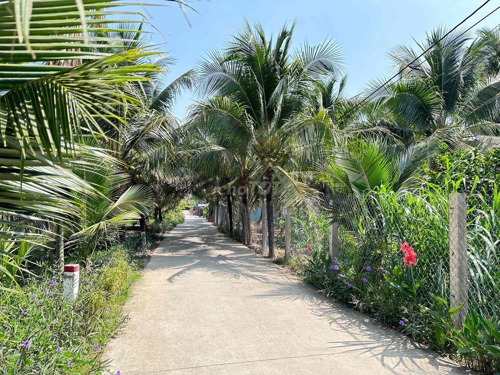 Bán đất vườn 600m2 phường Phú Tân
