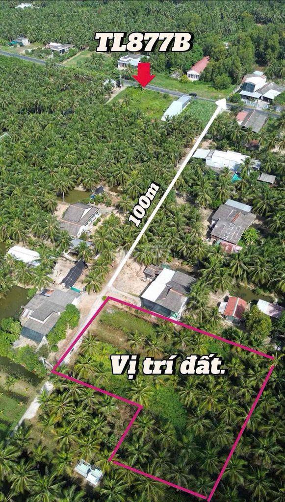 360Tr/ công Đất vườn dừa đẹp chuyển thổ cư được
