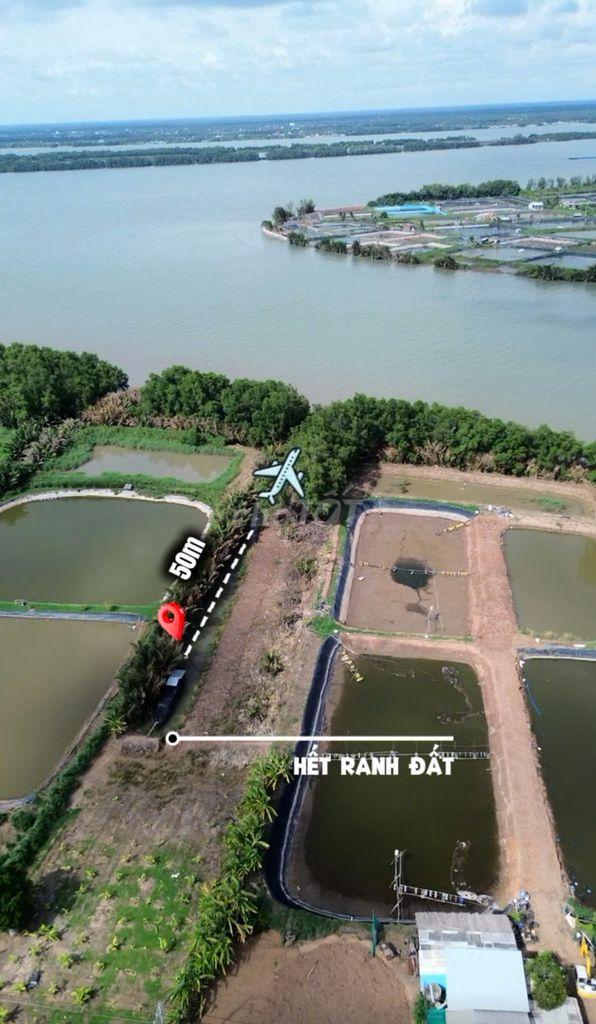🌿 ĐẤT VƯỜN VEN RẠCH – GẦN SÔNG MEKONG | 500m² CÓ THỔ CƯ | ĐƯỜNG NHỰA