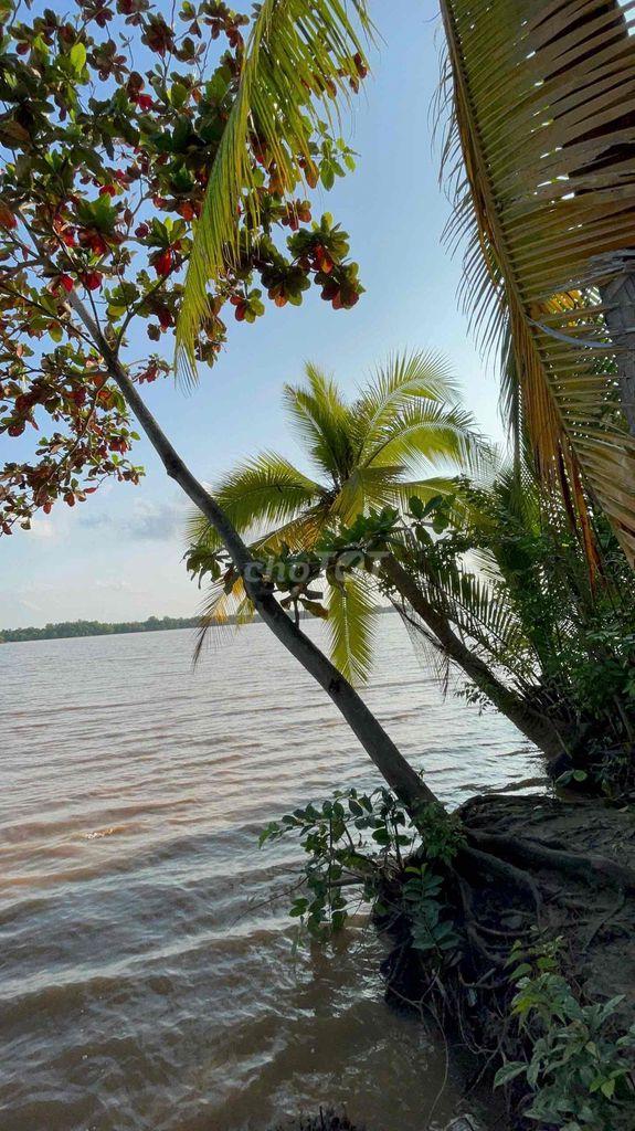 ĐẤT SÁT SÔNG MEKONG GIÁ RẺ 💵 399 triệu / 1,178m2