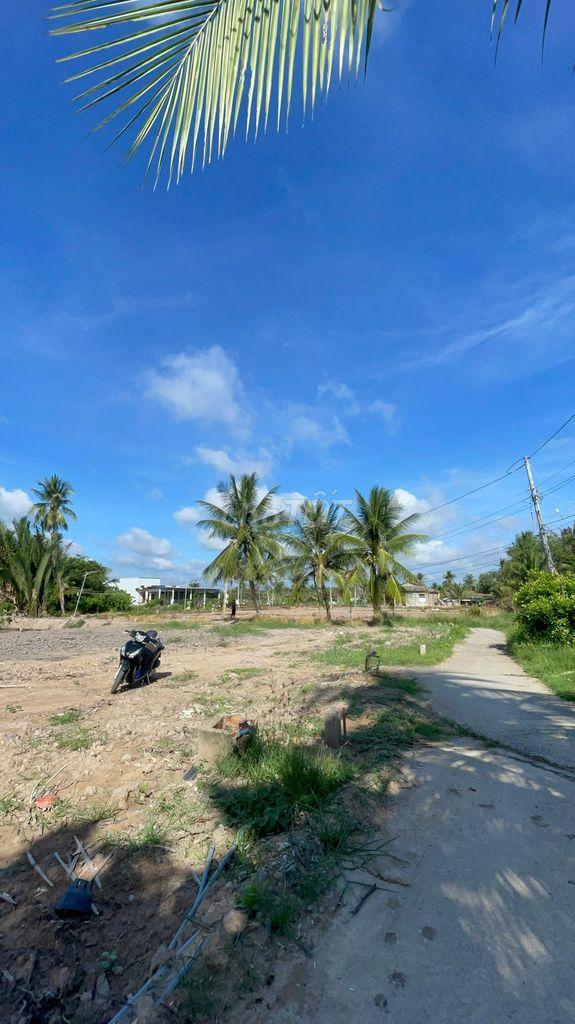 ĐẤT NỀN THỔ CƯ TÂN PHÚ ĐÔNG CHỈ 145TR