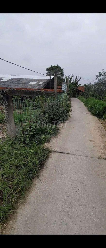 CẦN BÁN GẤP