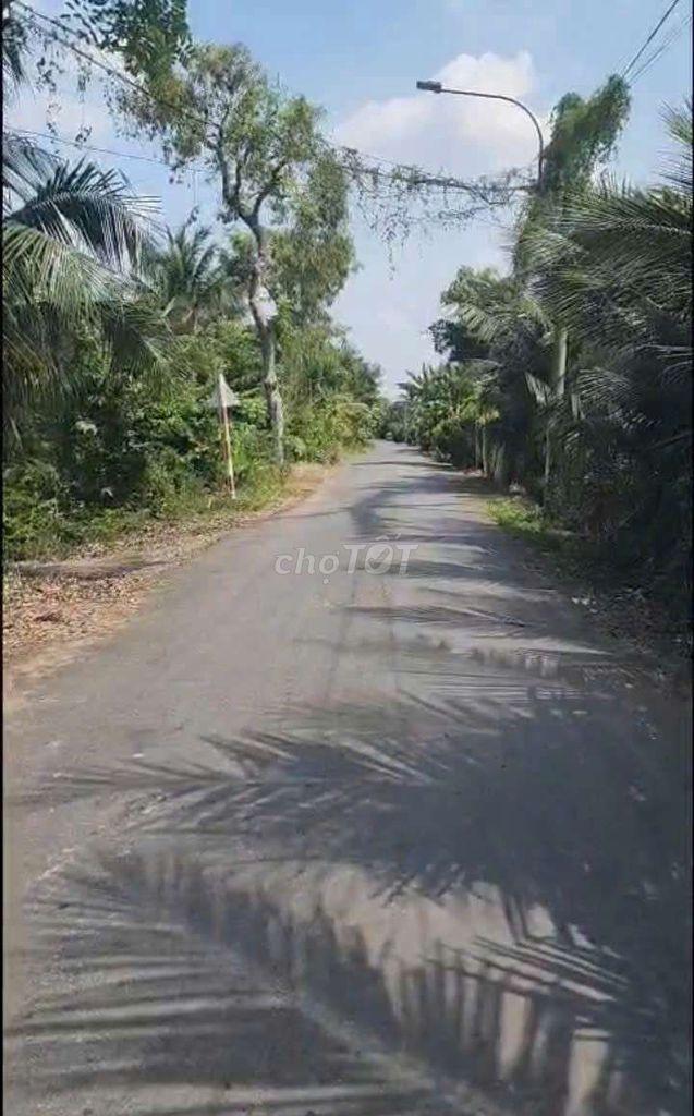 Đất chính chủ