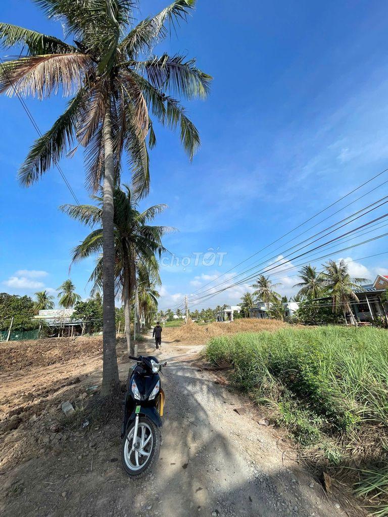 🌿ĐÁT THỔ CƯ NGANG 6M GIÁ MỀM NHẤT KHU TÂN PHÚ ĐÔNG – CHỈ 180 TRIỆU
