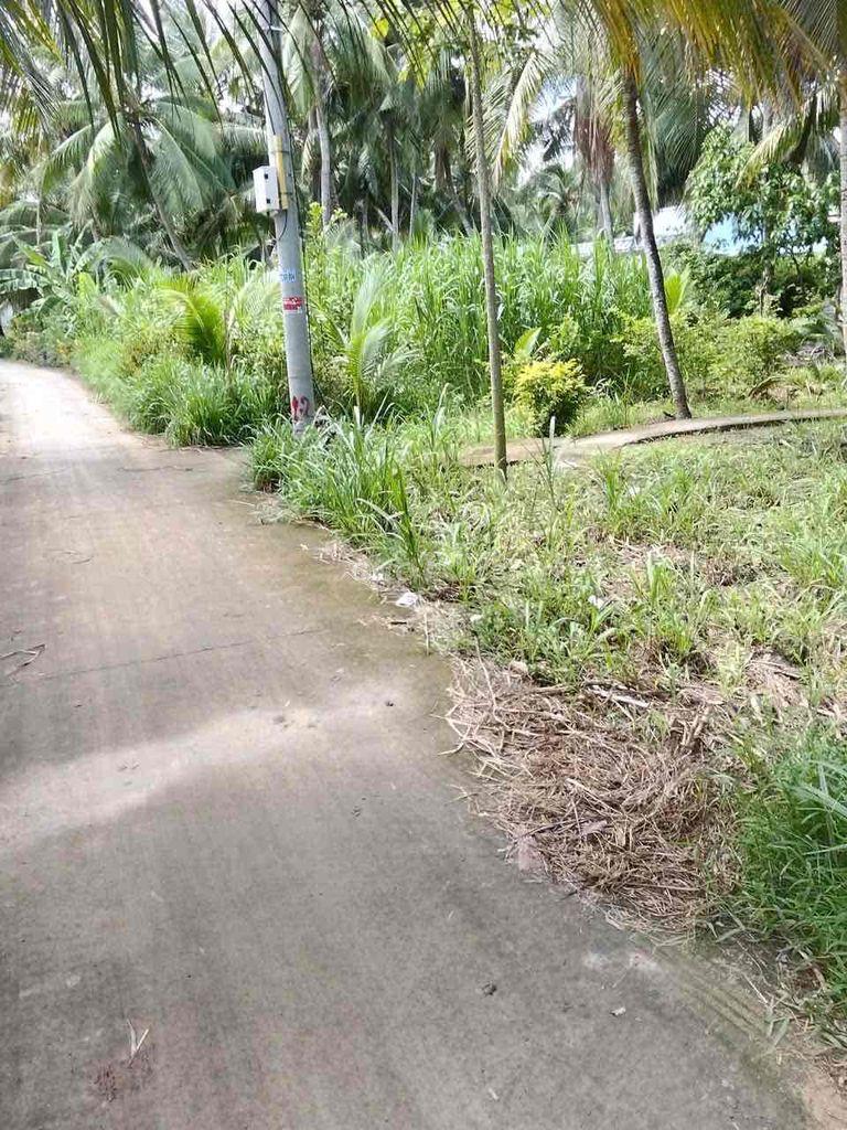 bán đất vườn giá rẻ