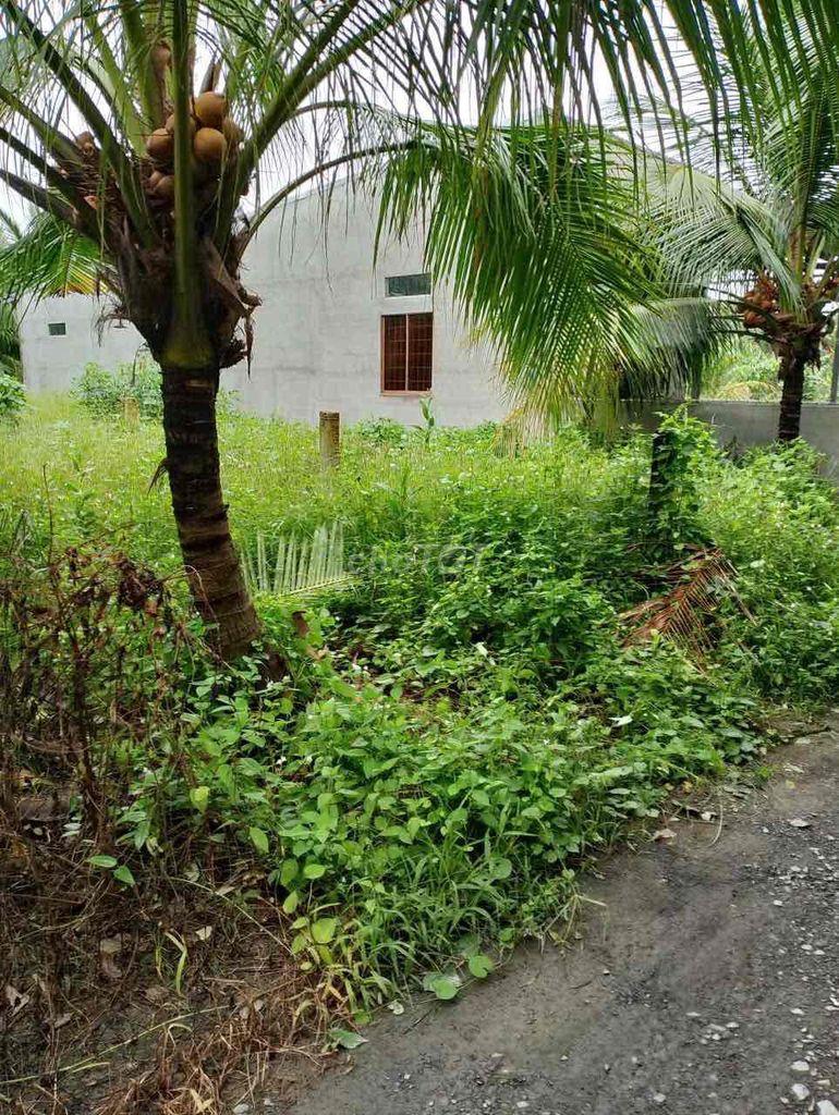 cần bán đất nhà