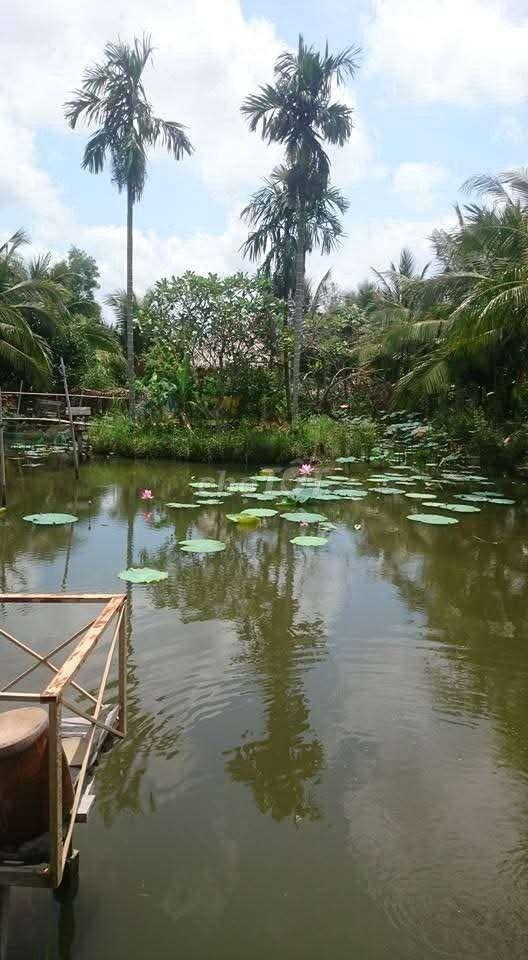 cho thuê vườn sinh thái, cà phê, câu cá, nghỉ dưỡng