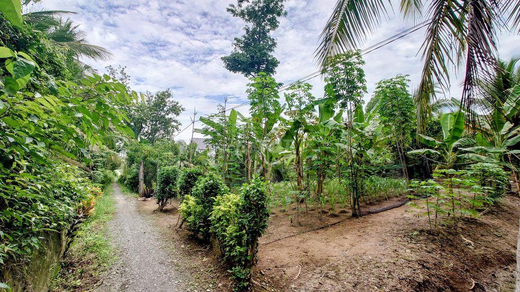 Đất Mỏ Cày Bắc - Bến Tre