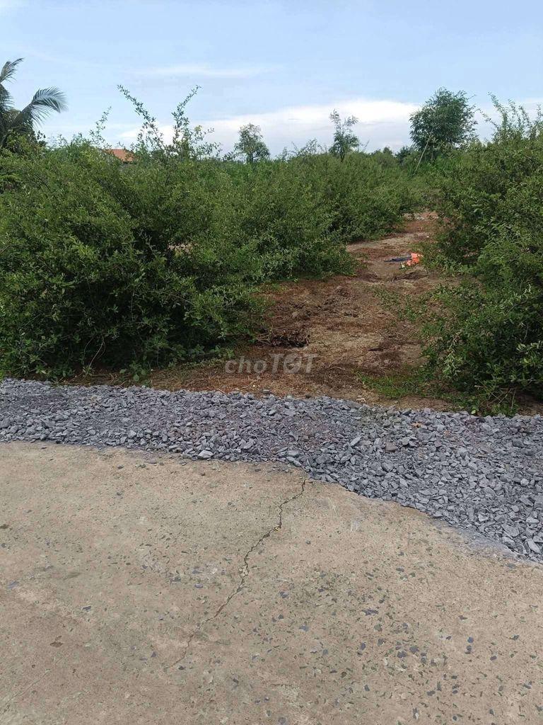 Bán gấp gần 1000m² (50x20) chỉ 360 triệu. Tân Đông, Gò Công Đông, TG