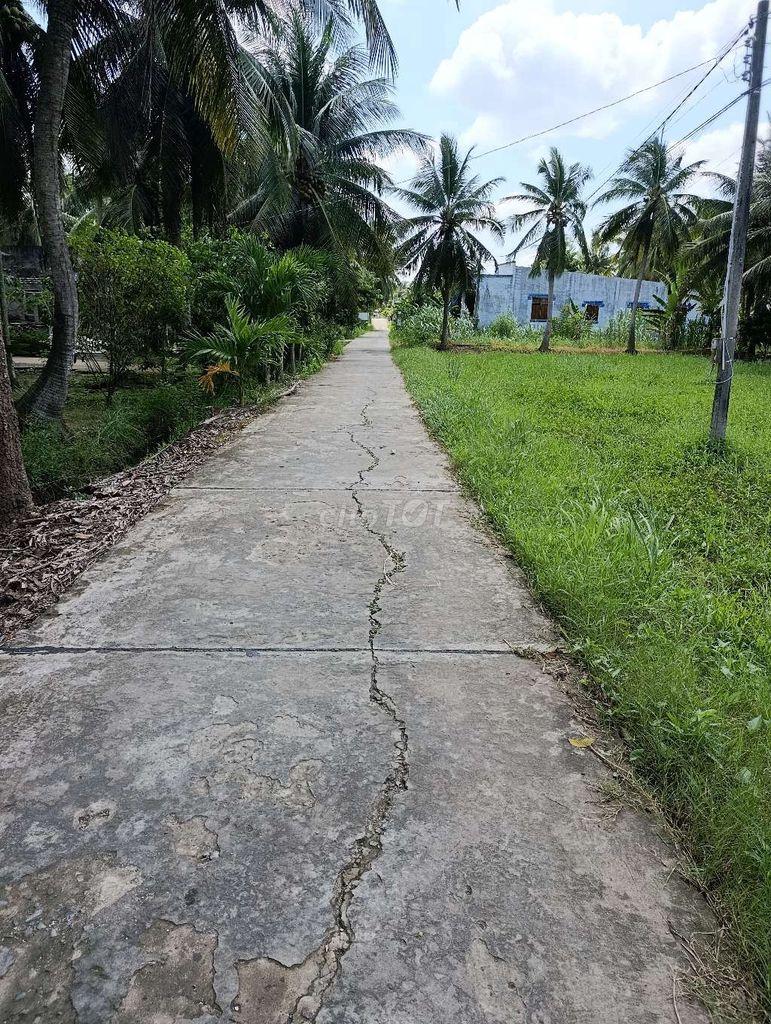 Bán đất Mỹ Hòa, Ba Tri, Bến Tre – Giá chỉ 350 triệu