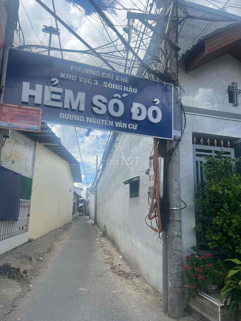 Bán đất cây lâu năm