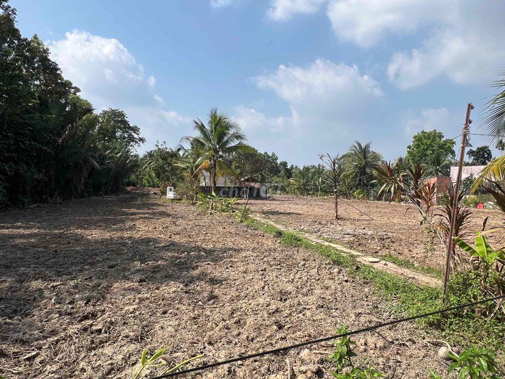 CHÍNH CHỦ CHO THUÊ 2.000M² ĐẤT-MỸ PHONG, TP MỸ THO - CÁCH AEON 1,3km
