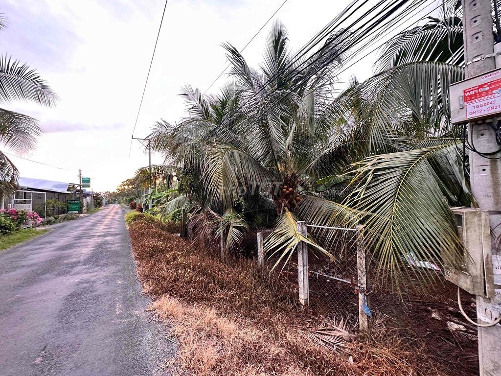 Bán Đất mặt tiền đường nhựa thị Trấn Tân Hiệp tỉnh Tiền Giang