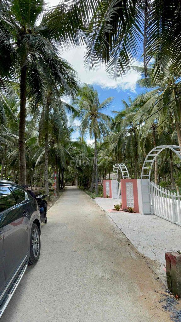 Vườn Đẹp 150m² Có 100m² Thổ Cư | Nhiều Cây Ăn Trái | 330 Triệu