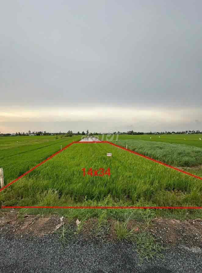 Mặt tiền đường Tỉnh Lộ 864 Nối dài biển Tân Thành